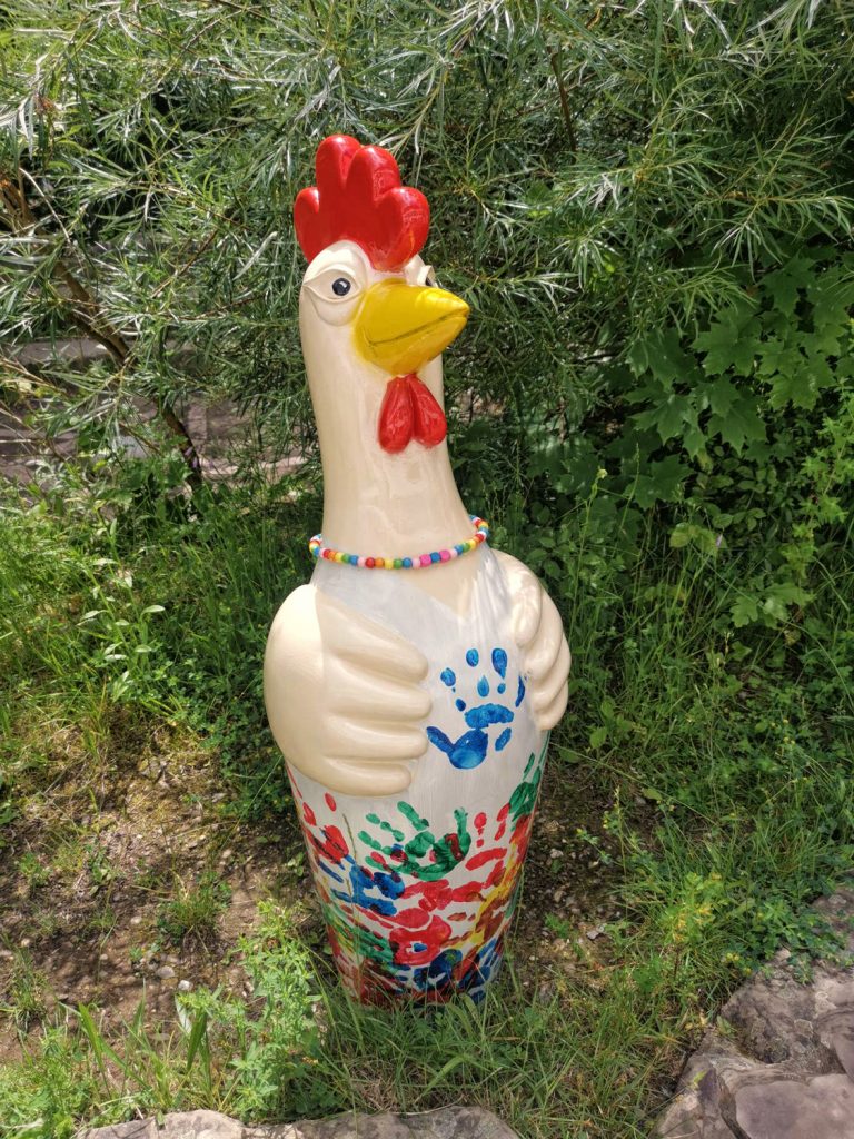 Wir haben am Projekt des Rheinisch-Bergischen Kreises „Hühner der Vielfalt“ teilgenommen...